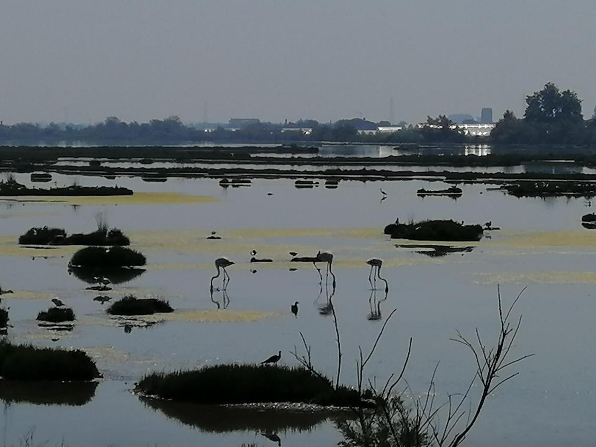 Orizzonte Marino Blu-Vacanza Ricca Di Colori Cavallino-Treporti Zewnętrze zdjęcie
